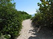 Seacoast 5151 condo Unit 1402, condo for sale in Miami beach