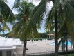 Oceanfront plaza condo Unit 311, condo for sale in Miami beach