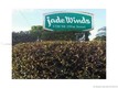 Jade winds grp easter lil Unit 203, condo for sale in Miami