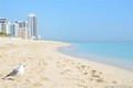 Castle beach club condo Unit M14, condo for sale in Miami beach